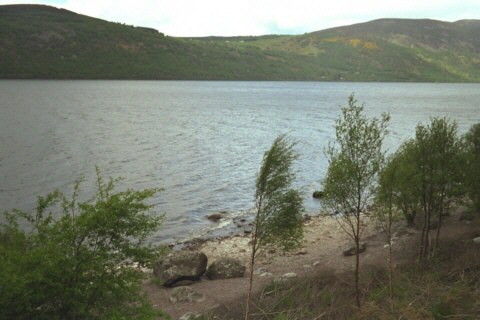 Schottland, Loch Ness, Bäume