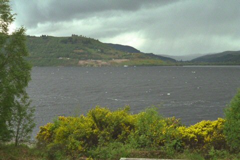 Schottland, Loch Ness, Ginster